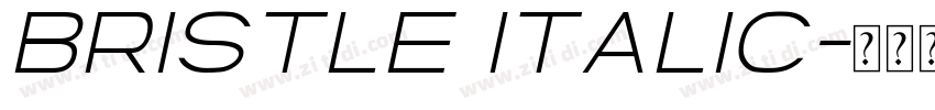 Bristle Italic字体转换
